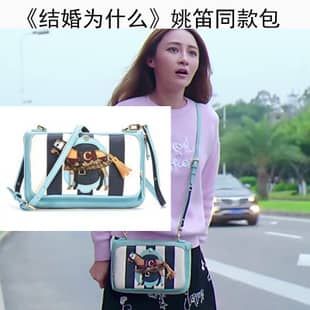 结婚为什么姚笛饭饭同款斜挎包手拿包
