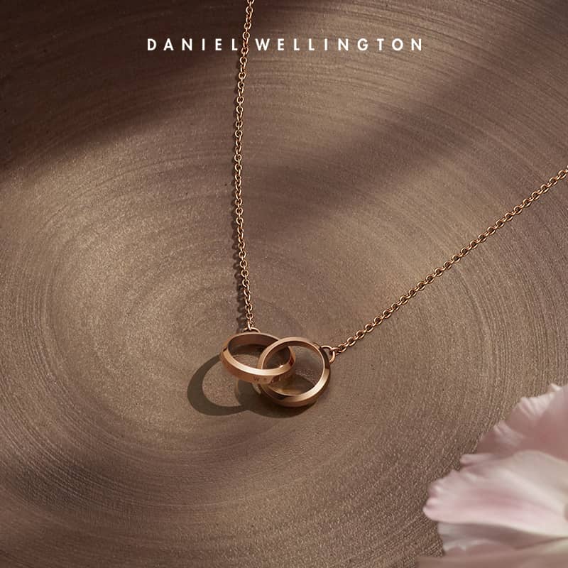 灿烂的前行乔欣同款Daniel Wellington丹尼尔惠灵顿(DW)ELAN系列小双环项链