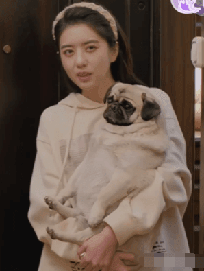 他为什么依然单身李凯馨夏小满同款白色URLAZH有兰印花休闲连帽卫衣